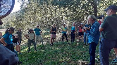 Voci nel Bosco (9)